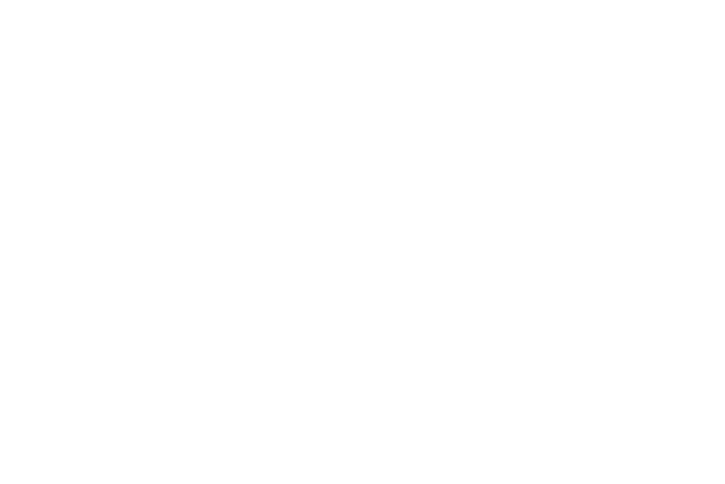 Custom logo 01